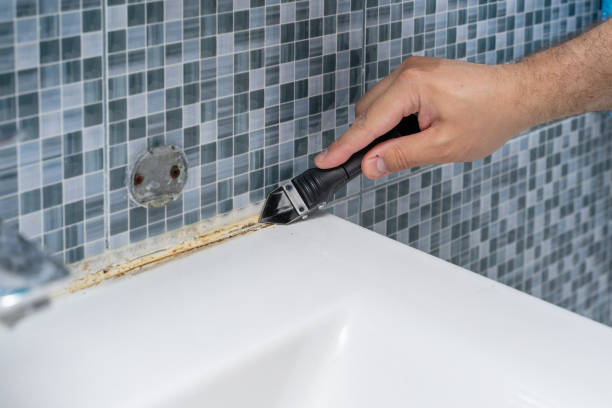 Best Mold Damage Repair  in Bloomfield, IN