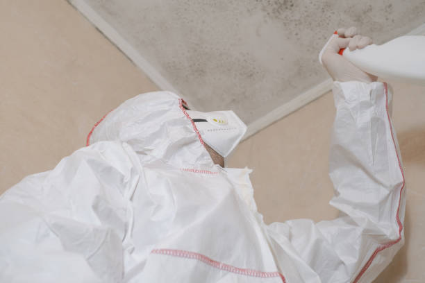Mold Removal and Inspection in Bloomfield, IN
