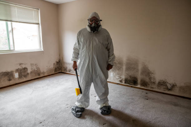 Best Crawl Space Mold Removal  in Bloomfield, IN